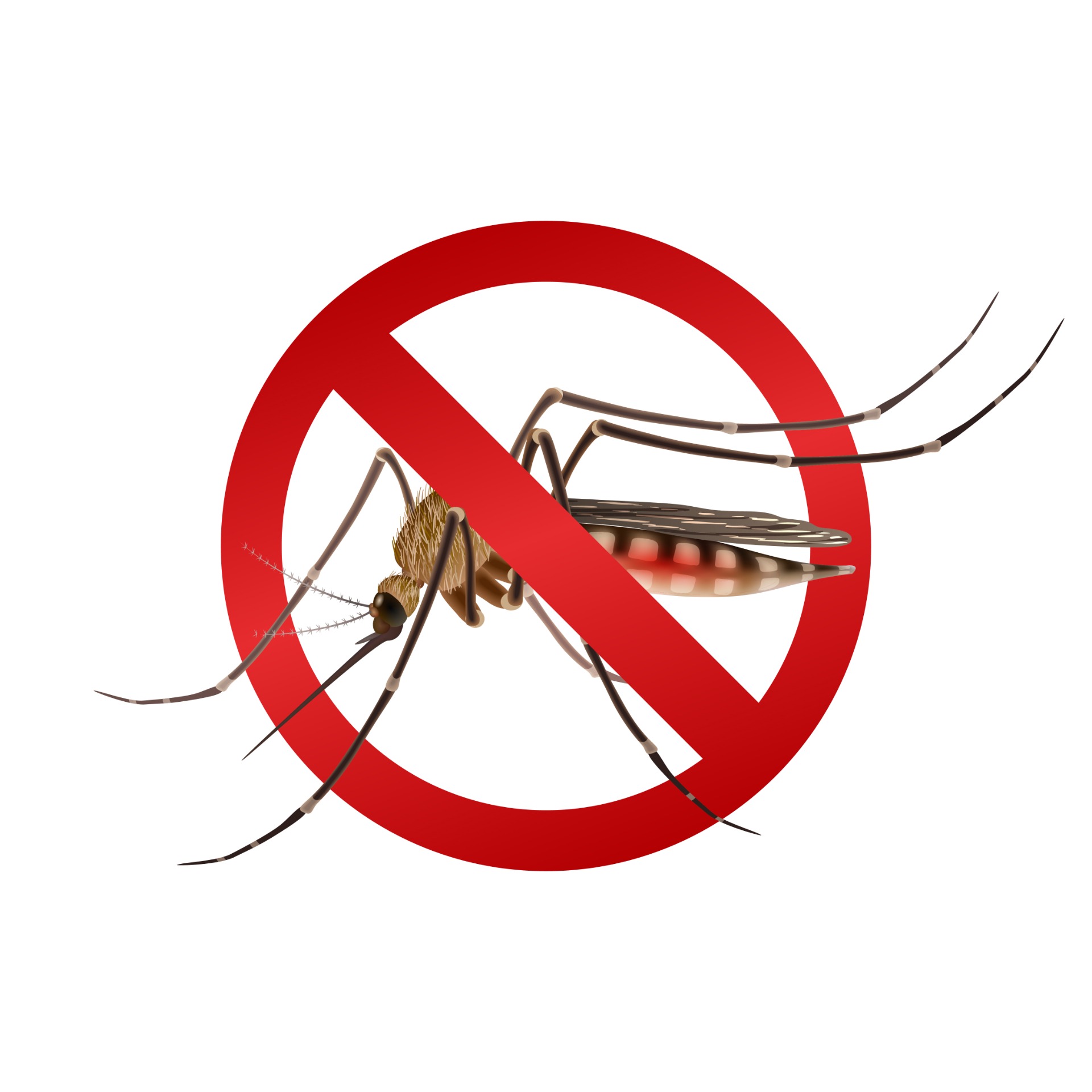Raleigh NC pest control
